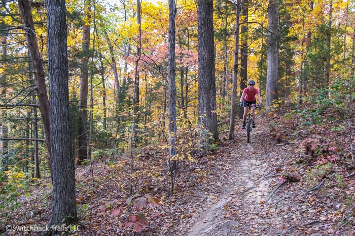 Mountain Biking in Virginia Featured Article Image