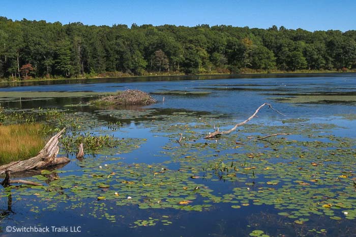 Allamuchy Mountain State Park - Allamuchy - Deer Park featured image