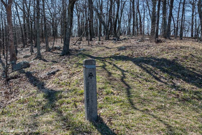 Shenandoah National Park - Appalachian Trail featured image