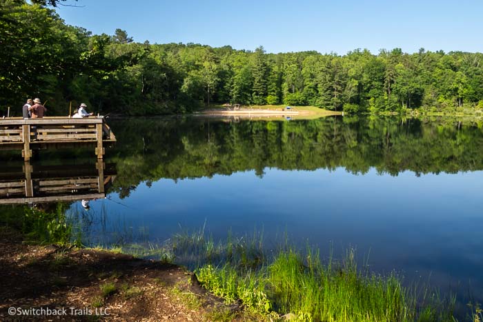 Bent Creek Experimental Forest featured image