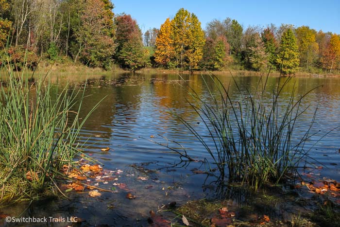 Black Hill Regional Park featured image