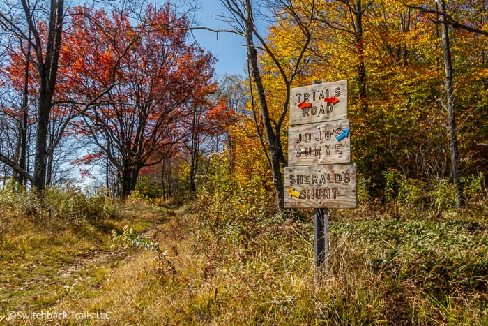 Canaan Valley Institute featured image