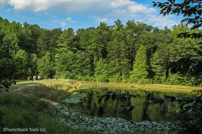 Cedarville State Forest featured image