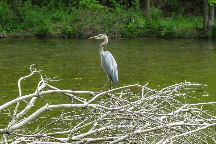 Seneca Creek State Park - Clopper Lake featured image