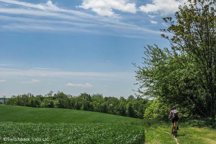 Hoyles Mill Trail featured image