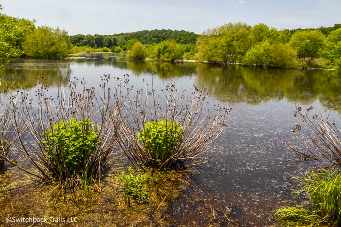 James River State Park featured image