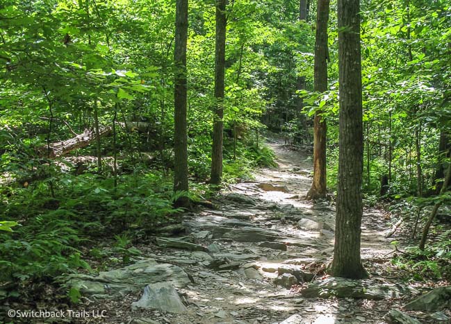 Lake Fairfax / Colt's Neck - Lake Fairfax Park featured image