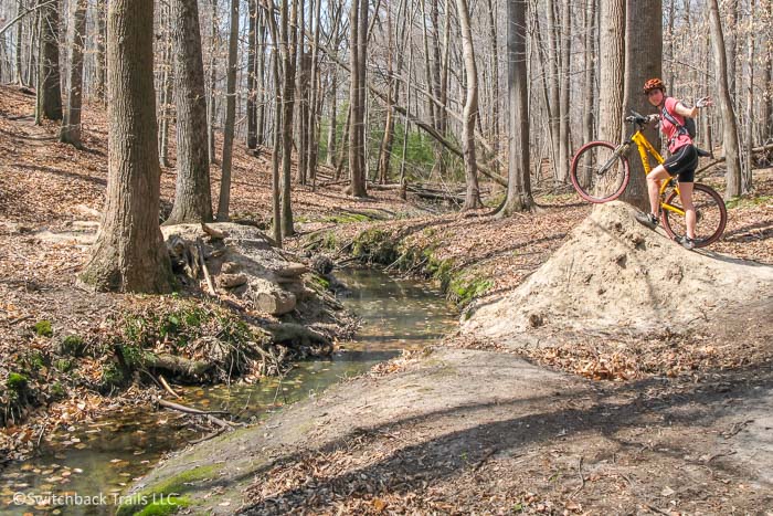 Lake Maury featured image