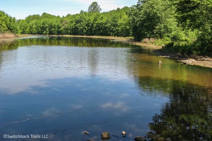 Lums Pond State Park featured image