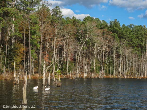 Newport News Park featured image