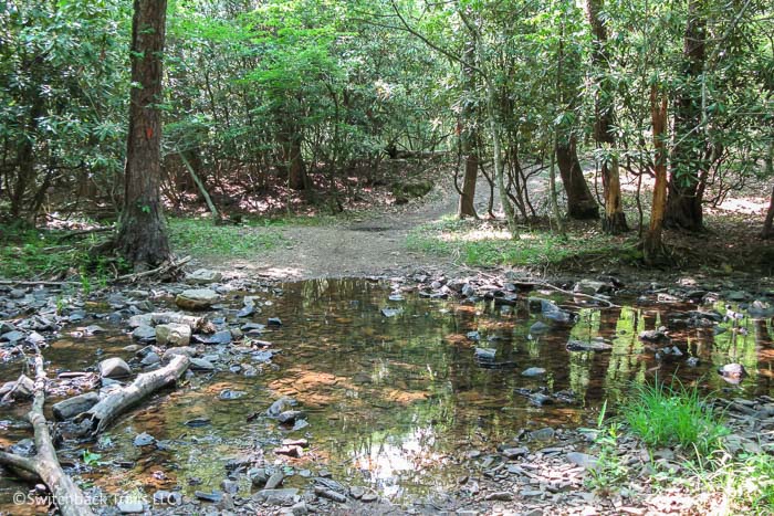 Pandapas Pond / Brush Mountain featured image