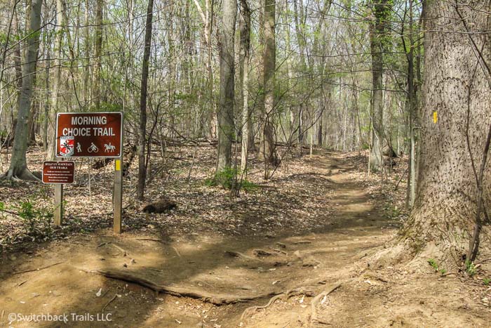 Patapsco Valley State Park featured image