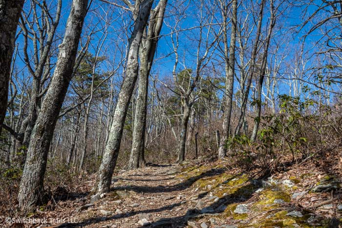 Shenandoah National Park - Riprap featured image