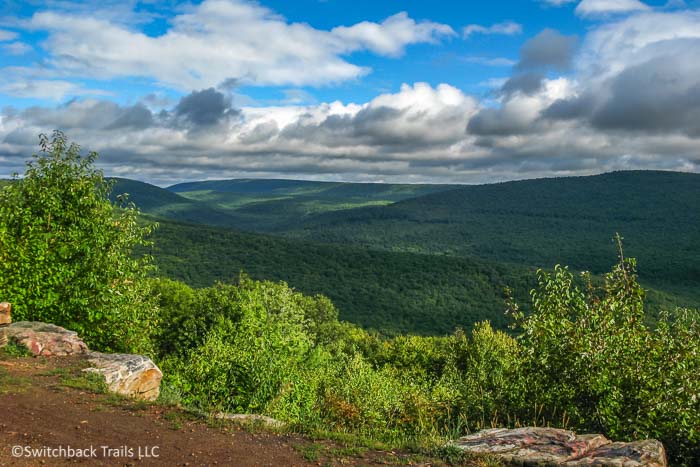 Rothrock State Forest featured image