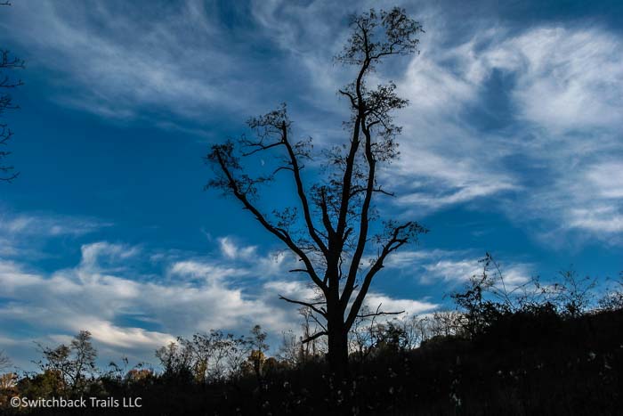 Sky Meadows State Park featured image