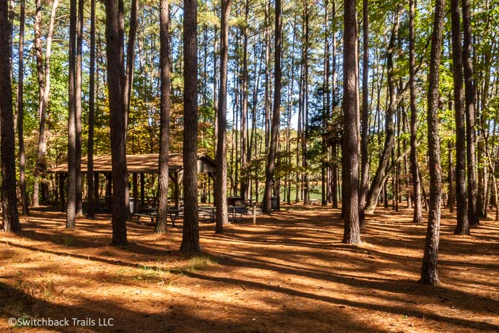 Smith Mountain Lake State Park featured image