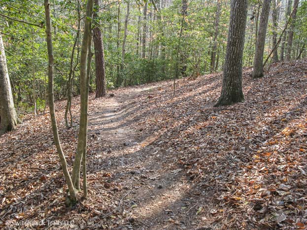 Upper County Park featured image