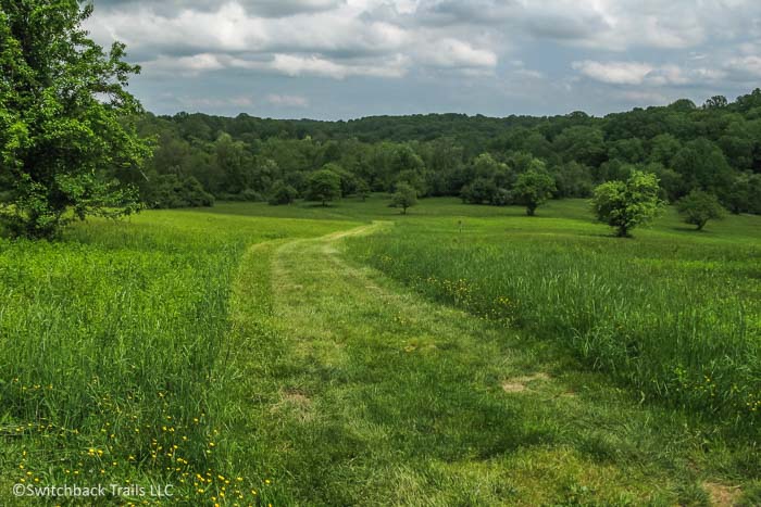 White Clay Creek State Park featured image